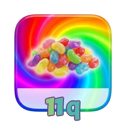 11q